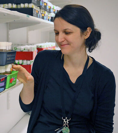 A picture of Petra Tauscher at a lab bench