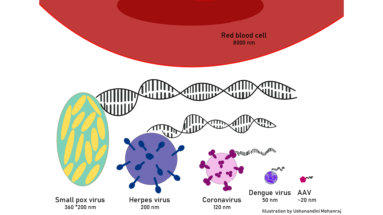 Gene therapy blog illustration 1