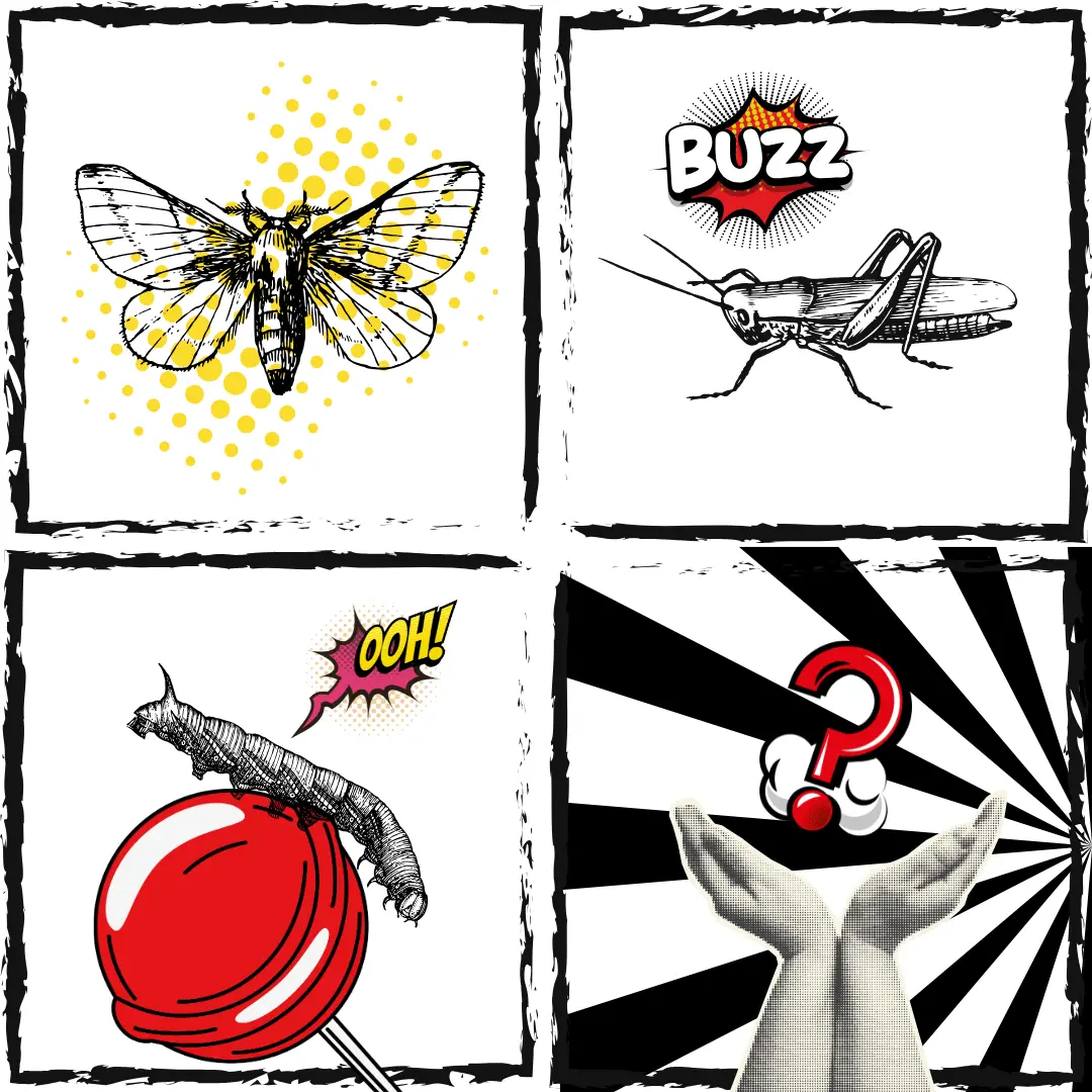 Theme 2025 Insects for dinner Thumbnail