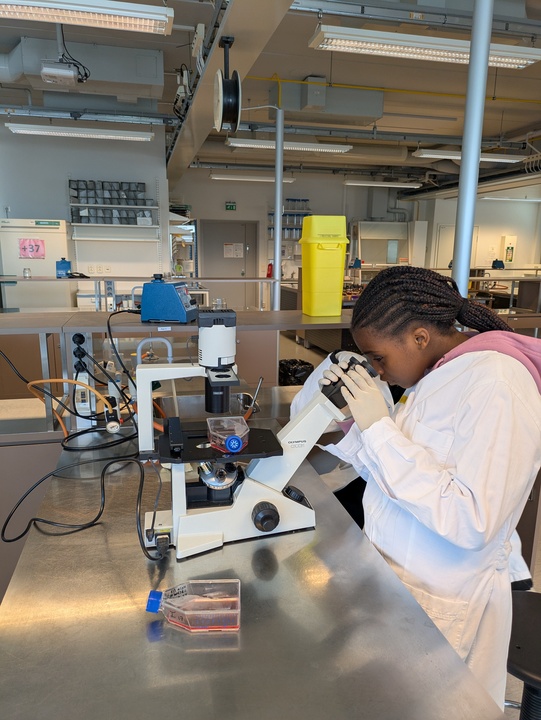 pxl_20250425_130947106_720