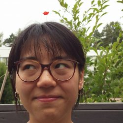 Yongmei Gong, Science Comic